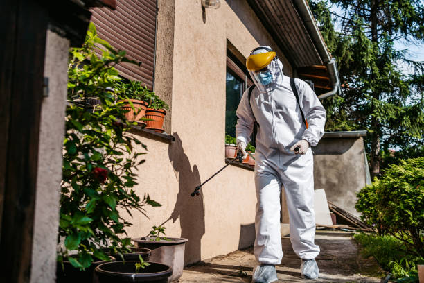 Flea Control Services in Foresthill, CA