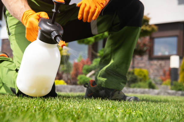 Best Affordable Pest Control Services  in Foresthill, CA