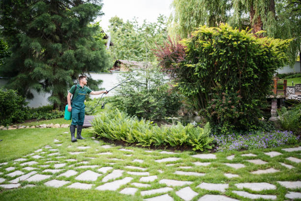 Best Pest Control Near Me in Foresthill, CA