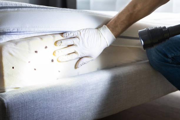 Best Commercial Pest Control Services  in Foresthill, CA