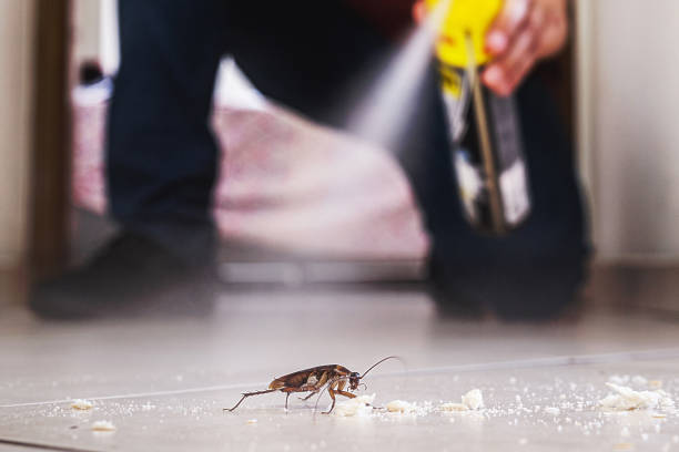 Pest Control for Restaurants in Foresthill, CA