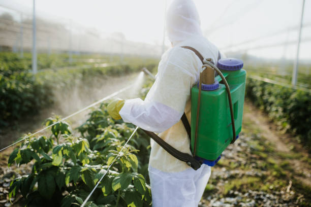 Professional Pest Control in Foresthill, CA